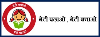 Star Relocation Services